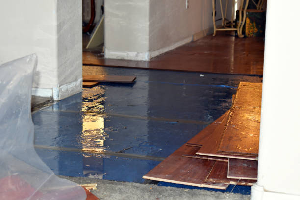 Professional Water Extraction technician working in Truesdale, MO